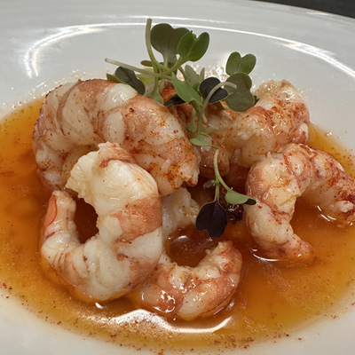 Plato 5